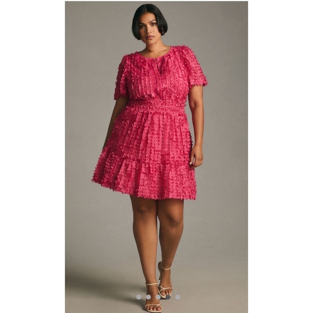 Anthropologie Somerset Mini Dress Floral‎ Applique Pink Smocked Tiered 2X